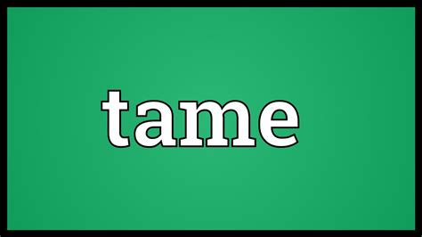 tame meaning youtube
