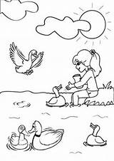 Ducks Tulamama Worksheeto sketch template