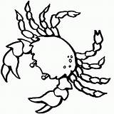 Crab Coloring Color Printable Pages Popular Kids sketch template