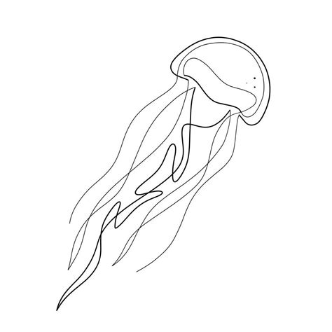 drawing   jellyfish   white background