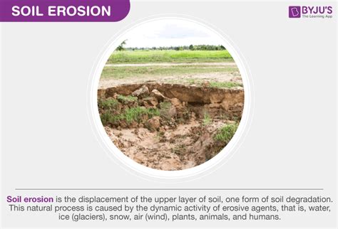 explain   types  soil erosion zain  hernandez