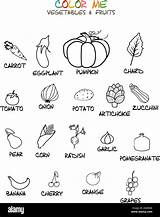 Colorier Légumes Legumes Alamyimages sketch template