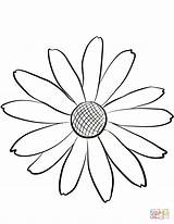 Susan Eyed Coloring Daisy Drawing Outline Pages Printable Getdrawings Flowers sketch template