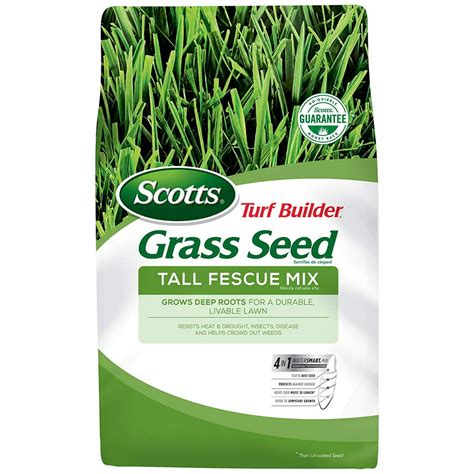 scotts turf builder grass seed tall fescue mix  lb full sun  partial shade resists