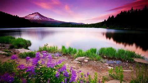 nature scenery hd nature  wallpapers images backgrounds   pictures