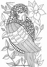 Kleurplaten Coloring Pages sketch template