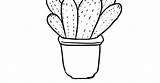 Cactus Loudlyeccentric sketch template