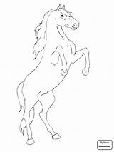 Bucking Horse Coloring Pages Drawing Horses Getdrawings sketch template