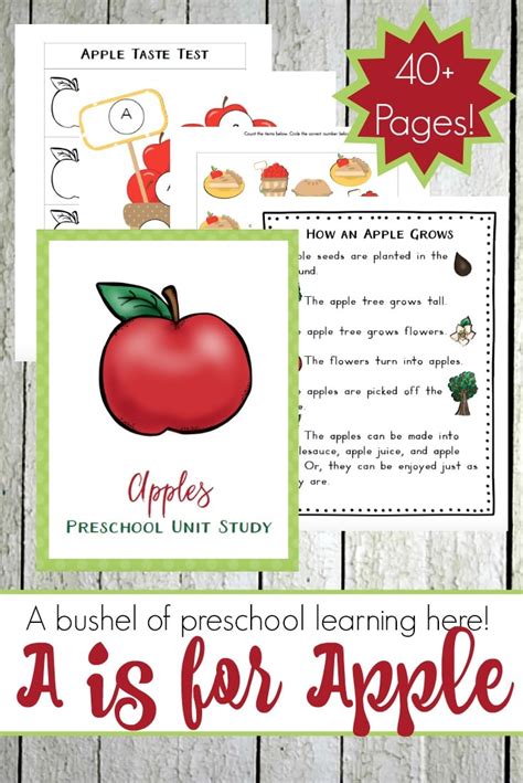 preschool apple printables  pages