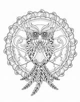 Erwachsene Malbuch Eulen Owls sketch template