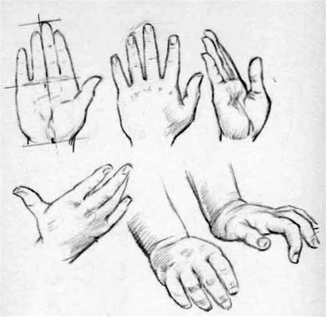draw hands reference sheets  guides  drawing hands   draw step  step