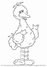 Bird Big Sesame Street Draw Drawing Step Coloring Pages Drawings Learn Cartoon Colouring Drawingtutorials101 Monster Sheets Tutorials Kids Getdrawings Choose sketch template