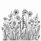 Flower Herbarium Kritzeleien Myflowerjournal Botanische Strichzeichnungen Malen Deckblatt Strichzeichnung Carvings Zeichnung Botanicals Draw Desenhar Zentangle Tattoos sketch template