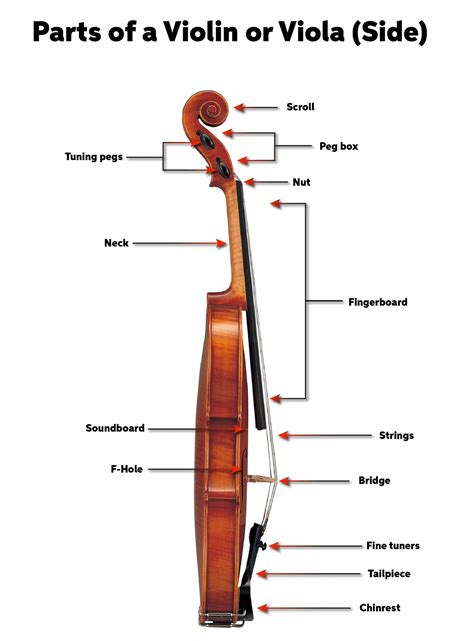violin  viola quickstart guide sweetwater