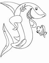 Shark Coloringtop sketch template