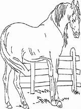 Farm Coloring Pages Animals Horse Animal Farming Printable Simulator Color Gifs Animated Coloringpages1001 Per Do Template sketch template