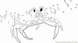 Crab Dot Beach Dots Connect Worksheet Kids sketch template