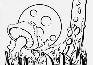 mushroom coloring pages pictures mushrooms coloring page  adults