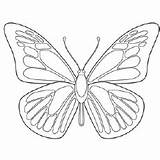 Butterfly Morpho Blue Coloring Pages Ulysses Printable Drawing Outline Blank Para Mariposas Color Template Caladas Butterflies Kids Print Sheets Queen sketch template