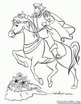 Principe Cavallo Colorkid Stampare sketch template