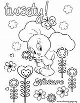 Tweety Piu Ausmalbilder Colorir Coloriage Piolin Nuvole Titti Looney Tunes Meigo Coloradisegni Imprimir Origamiami Plantillas sketch template