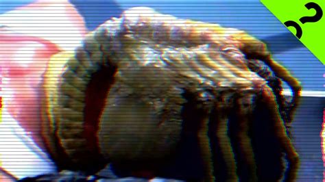 monstrous sex ed the alien facehugger monster science