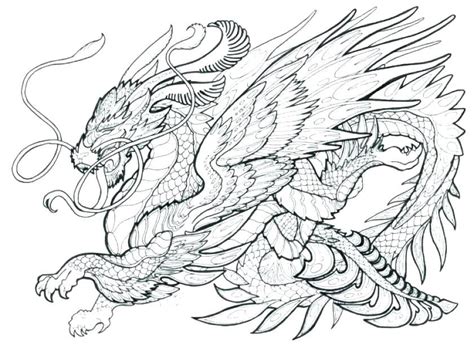 printable dragon coloring pages for adults printable coloring pages