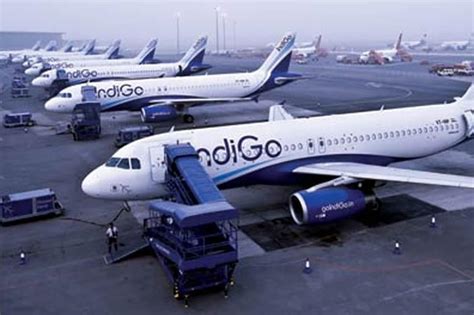 indigo airlines   cool facts   aviation read