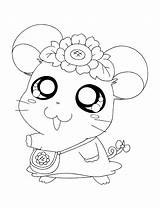 Kleurplaten Hamtaro Kleurplaat Schattige Coloring Dieren Animaatjes Diertjes Uitprinten Fanciful Panda Kleine Schatige Downloaden sketch template