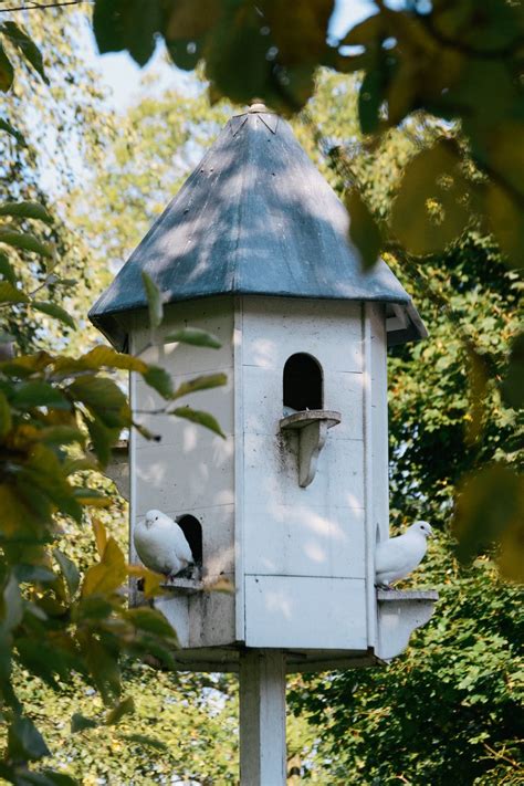 lovely dove cote bird house plans  bird houses beautiful birdhouses