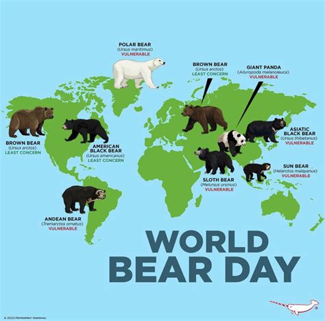 world map   bear population vivid maps