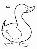 Farm Coloring Pages Animal Animals Print Duck Colouring sketch template