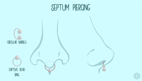7 popular types of nose piercings and their corresponding jewelry because