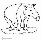 Coloring Pages Nessie Ant Eater Giant Printable Supercoloring Tapir Anteater Ausmalen Zum Categories Silhouettes sketch template