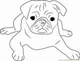 Pug Coloring Pages Face Cute Dog Printable Drawing Color Puggle Colouring Getcolorings Dogs Print Getdrawings Template Coloringpages101 Comments Sketch sketch template
