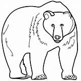 Bear Coloring Pages Grizzly Angry Big Printable Kids Print Color Getcolorings sketch template
