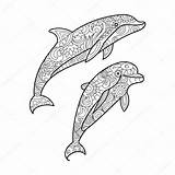 Dolfijn Delfin Dolfijnen Volwassenen Moeilijk Dieren Erwachsene Zee Moeilijke Delphin St2 Zentangle Dier Pintar Adult Delfín sketch template