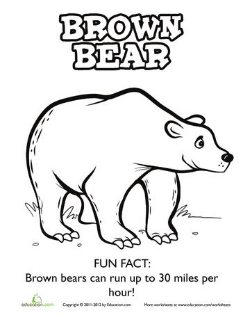 worksheets brown bear coloring page kindergarten coloring pages