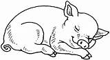 Pig Coloring Animals Printable Pages Cochon Kb Coloriage sketch template