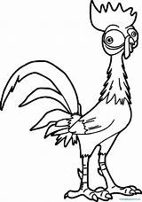 Moana Coloring Pages Clipart Chicken Hei Disney Heihei Colouring Rooster Printable Turtle Template Kids Wecoloringpage Clipartmag Size Clipground Choose Board sketch template