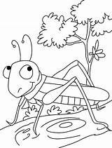 Grasshopper Gafanhoto Printable Gafanhotos Kindergarten Imagens Colouring Drawing Craft Cicada Kolorowanka Konikiem Obrazek Preschoolcrafts Pintarcolorir Crianças Curtir Lindo Tarefinhas Felizes sketch template