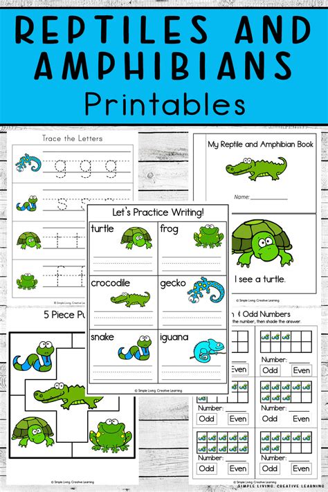 elementary reptiles amphibians printables part cards lupongovph