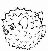 Porcupine sketch template