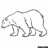 Bear Polar Coloring Endangered Animals Pages sketch template