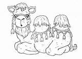 Nativity Camels Camello Stamp Donkeys Preciosos Spectrum Colouring sketch template