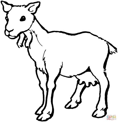 goat coloring pages kidsuki