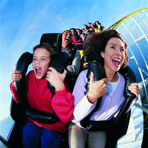 psychological reason  love roller coasters