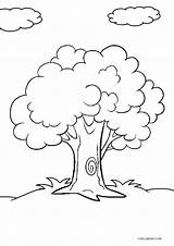 Tree Coloring Pages Printable Kids Drawing Cool2bkids sketch template
