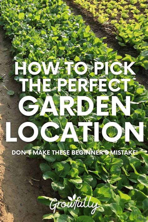 pick  perfect garden location growfully