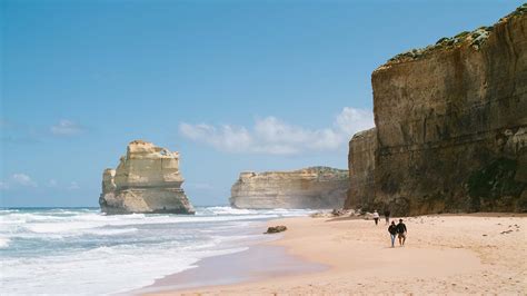 12 Apostles Nature And Wildlife Great Ocean Road Victoria Australia